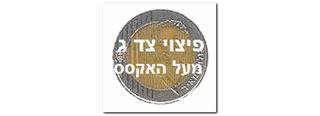 תשלום לצד ג' מעל להשתתפות העצמית