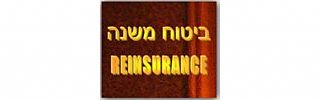 ביטוח משנה- REINSURENCE