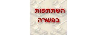 השתתפות עצמית בהסדר פשרה