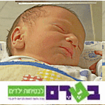 מחקר: בטיחות ילודים בדרכים