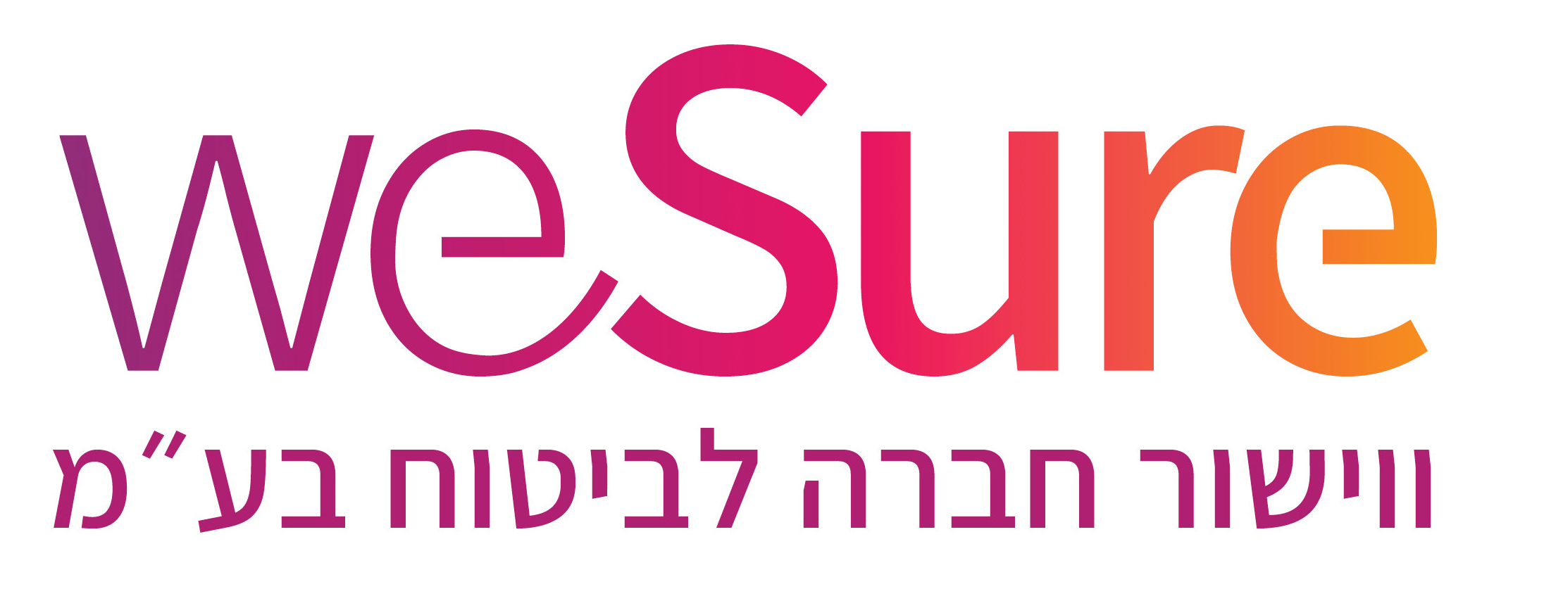 וישור לוגו