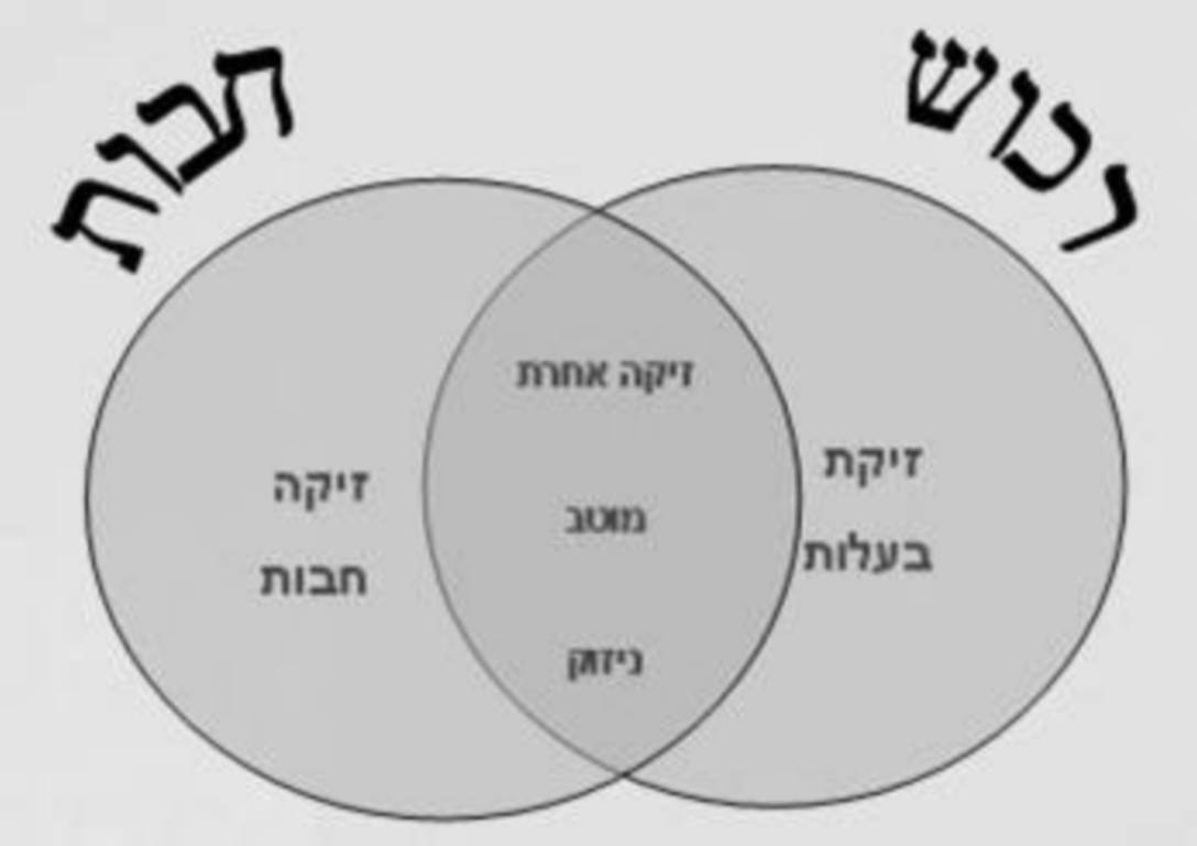 תרשים א' תרשים א'